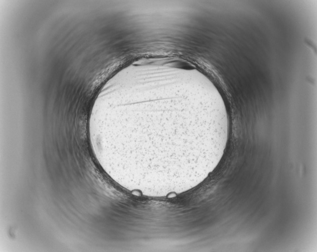 X0000100200393200806271646