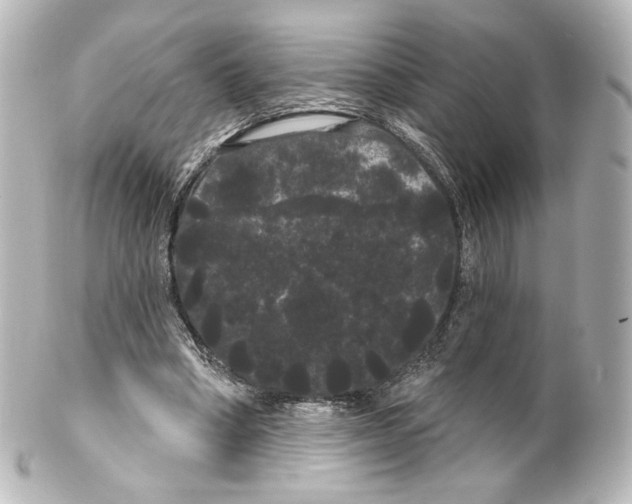 X0000100200394200806271646