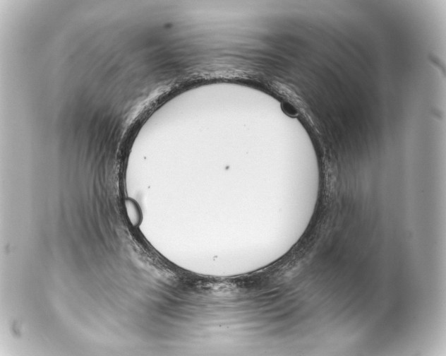 X0000100200395200806271646