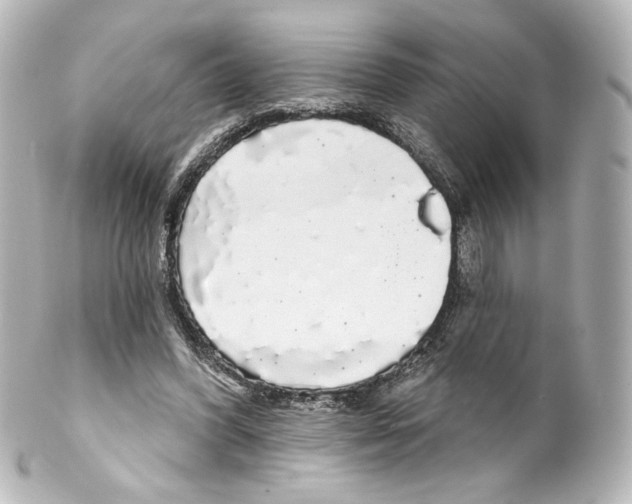 X0000100200396200806271646