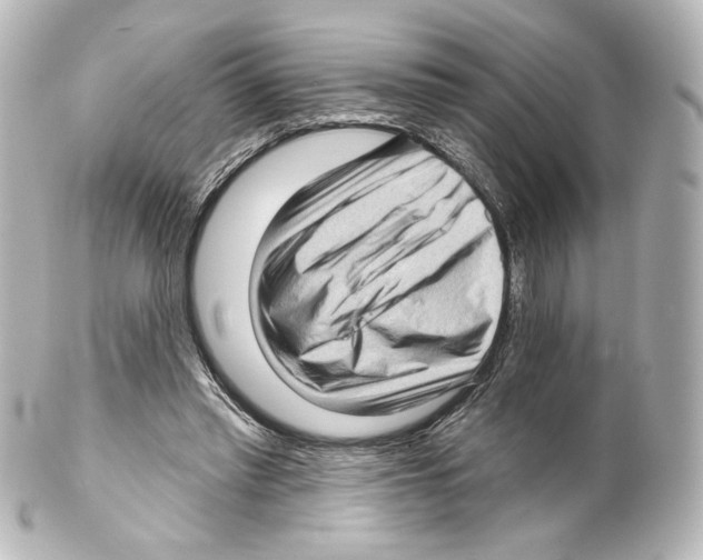 X0000100200397200806271646