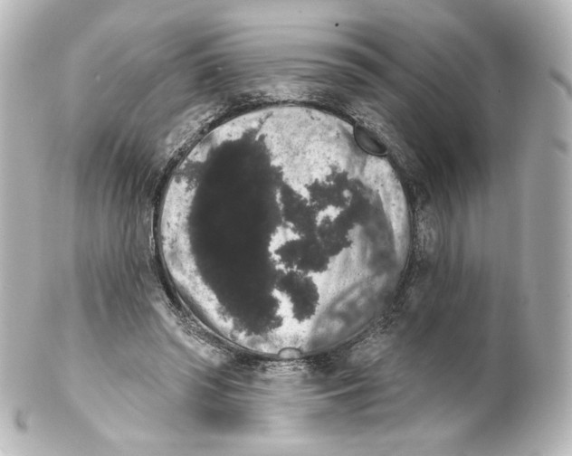 X0000100200398200806271646