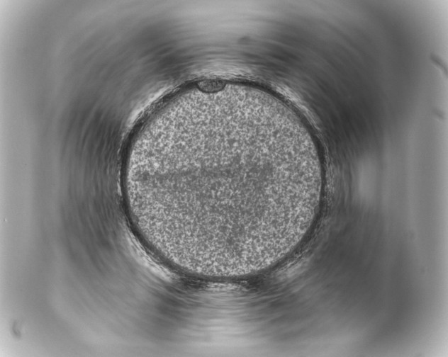 X0000100200399200806271646