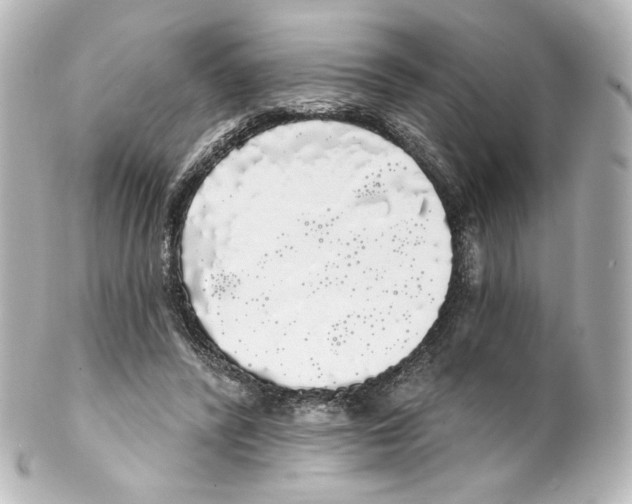 X0000100200400200806271646