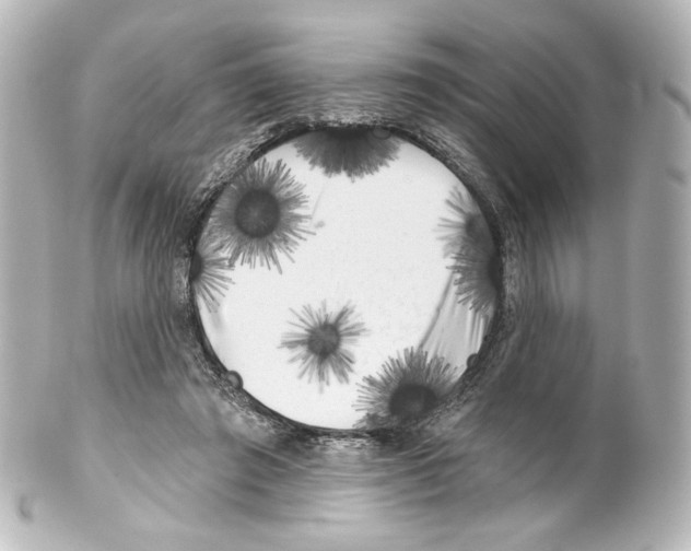 X0000100200401200806271646