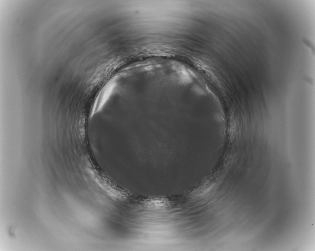 X0000100200402200806271646