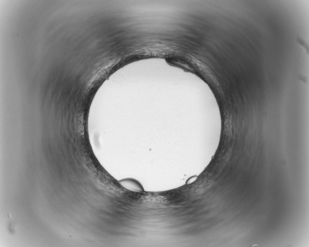 X0000100200403200806271646