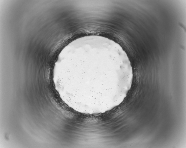 X0000100200404200806271646