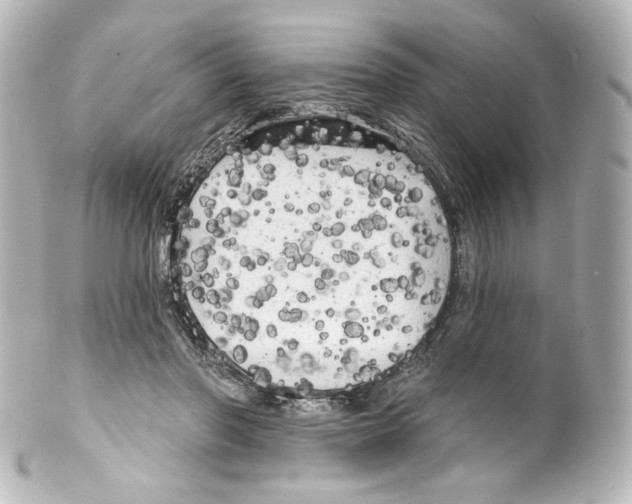 X0000100200406200806271646