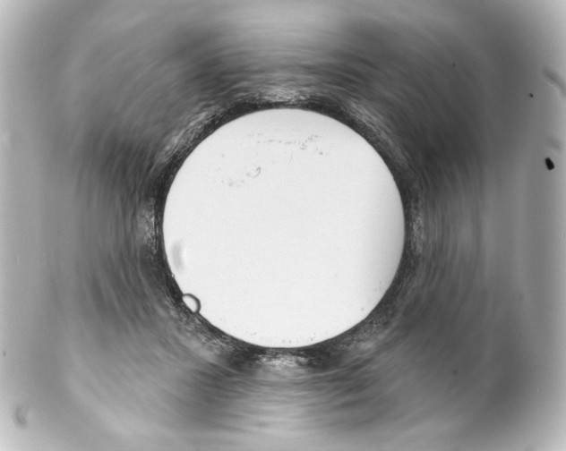 X0000100200407200806271646