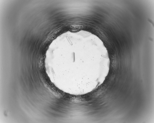 X0000100200408200806271646