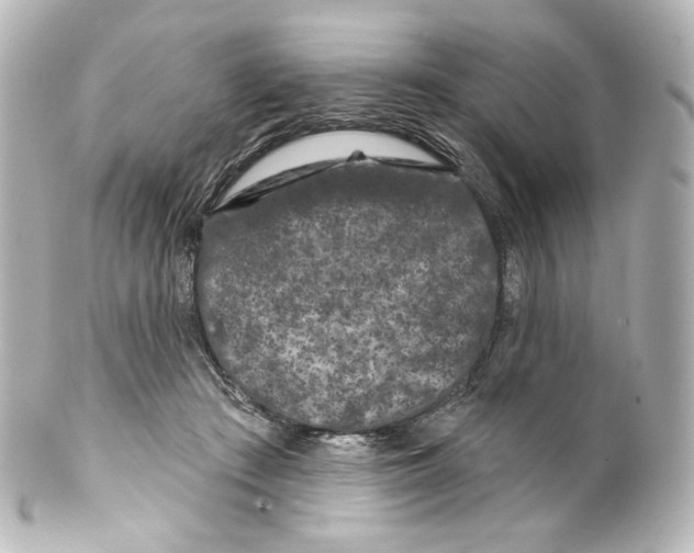 X0000100200409200806271646