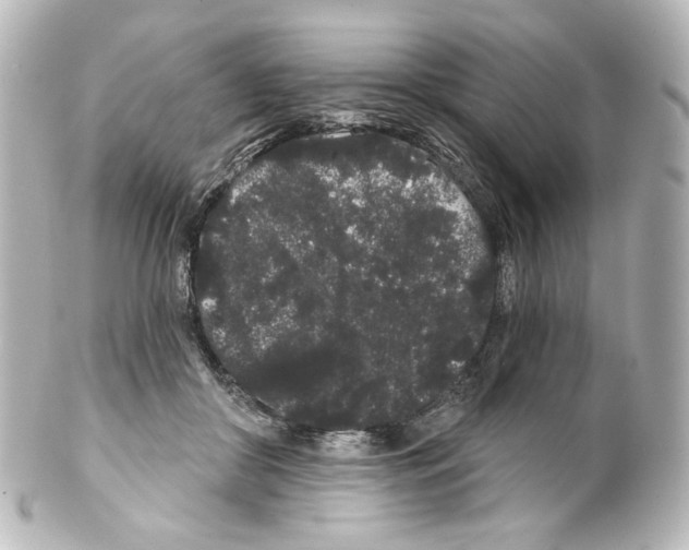 X0000100200410200806271646