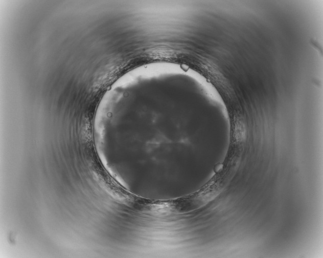 X0000100200411200806271646