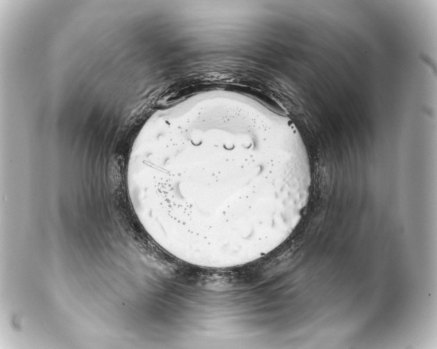 X0000100200412200806271646