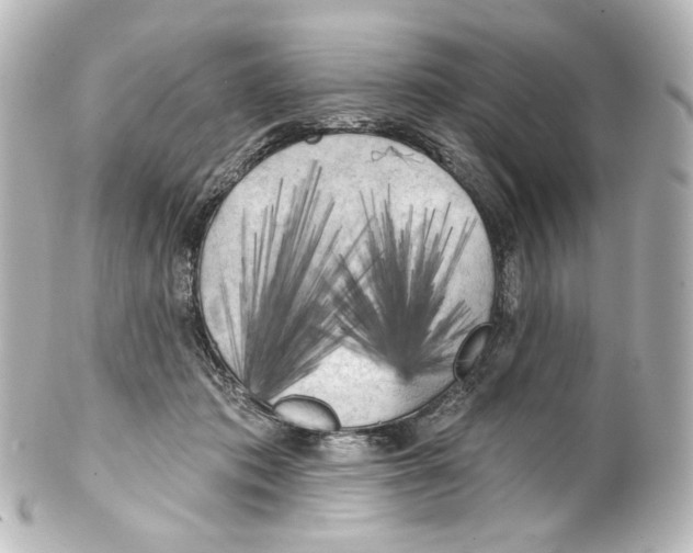 X0000100200413200806271646