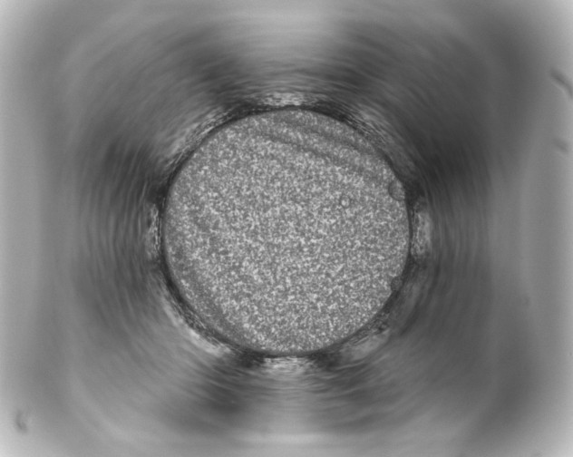 X0000100200414200806271646