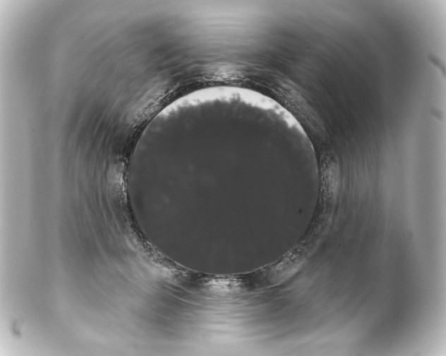 X0000100200415200806271646