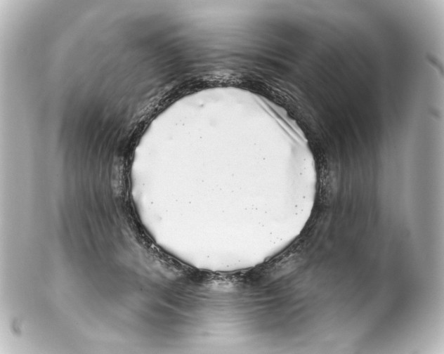 X0000100200416200806271646