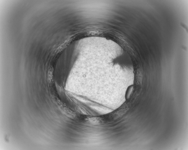 X0000100200417200806271646