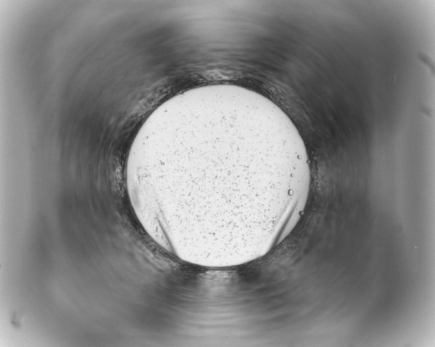 X0000100200418200806271646