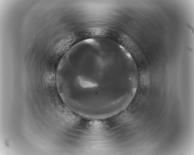 X0000100200419200806271646