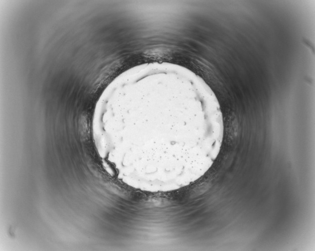 X0000100200420200806271646