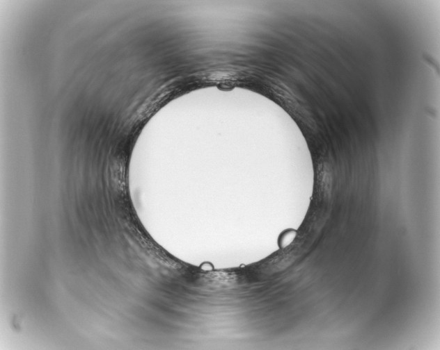 X0000100200421200806271646