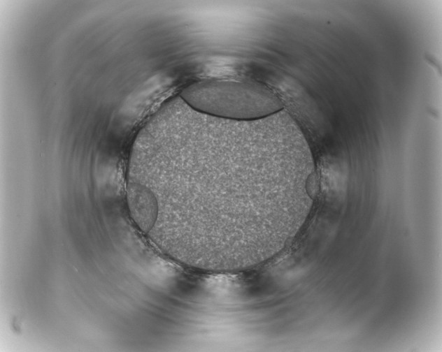 X0000100200422200806271646