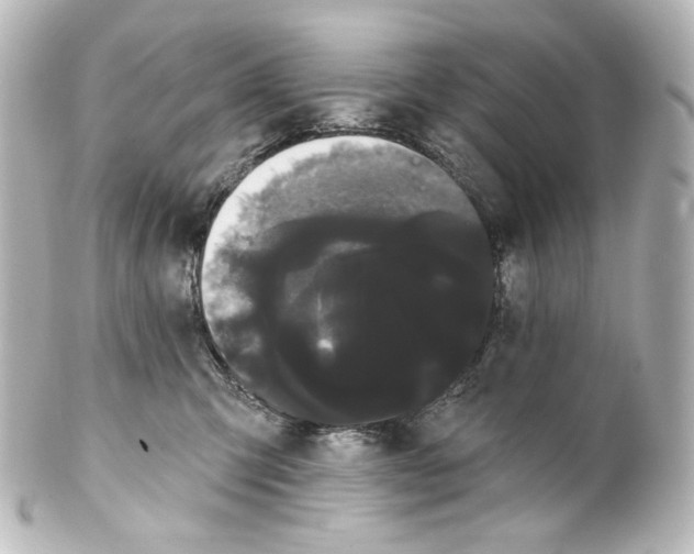 X0000100200423200806271646