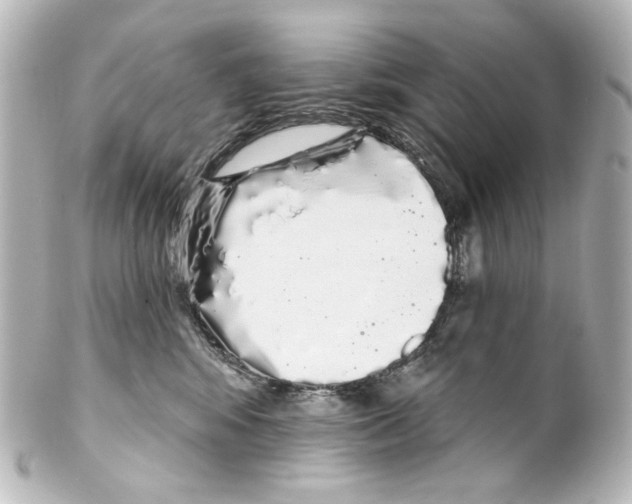 X0000100200424200806271646