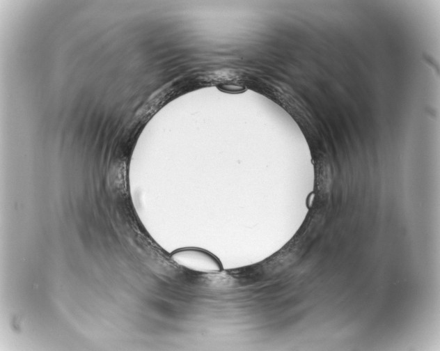 X0000100200425200806271646