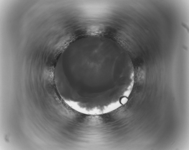 X0000100200427200806271646