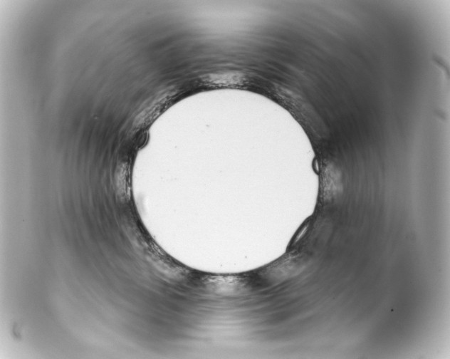 X0000100200428200806271646