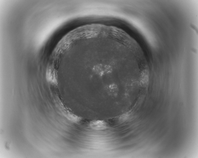 X0000100200431200806271646