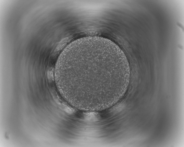 X0000100200432200806271646