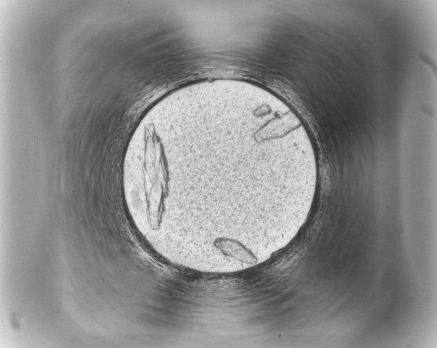 X0000100200433200806271645