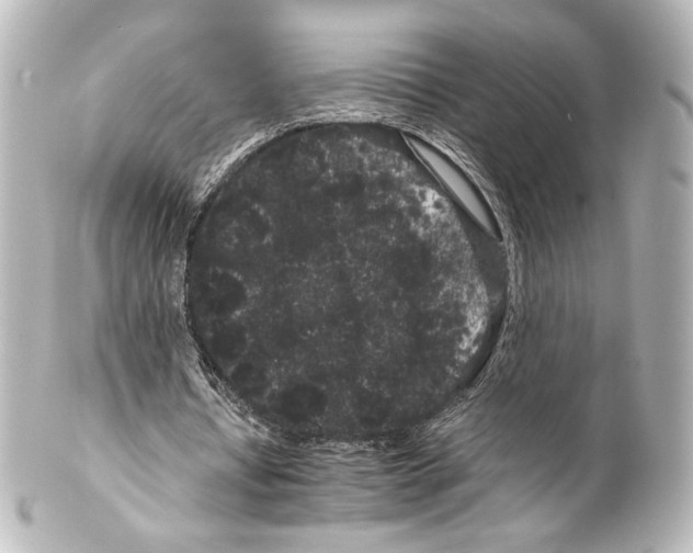 X0000100200434200806271645