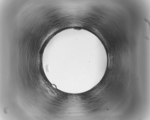 X0000100200435200806271645