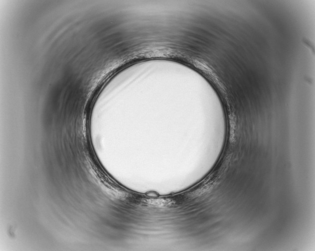 X0000100200439200806271645