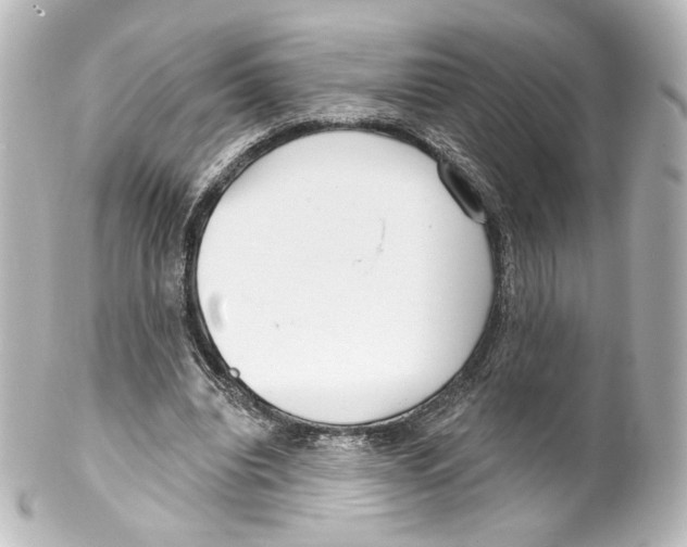 X0000100200440200806271645