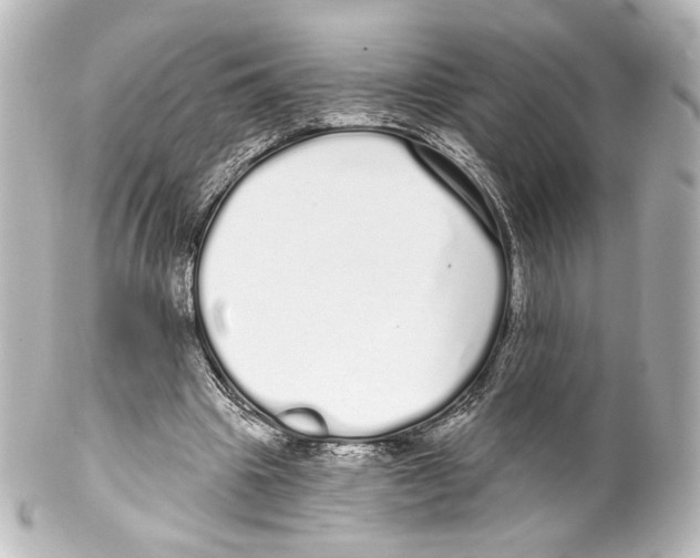 X0000100200441200806271645