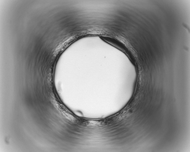 X0000100200442200806271645