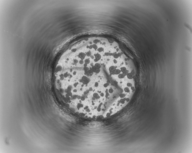 X0000100200444200806271645