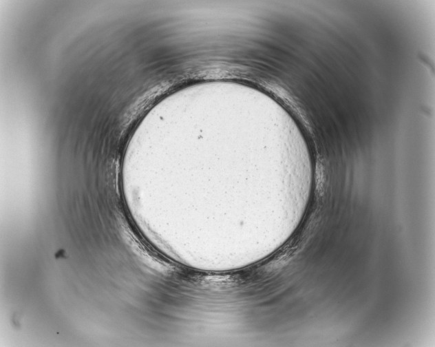 X0000100200445200806271645