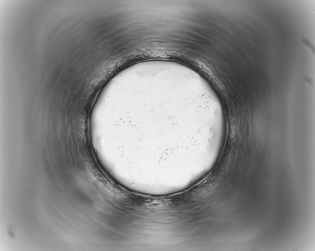 X0000100200447200806271645