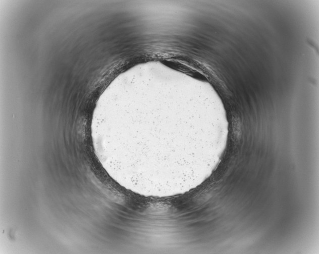 X0000100200451200806271645