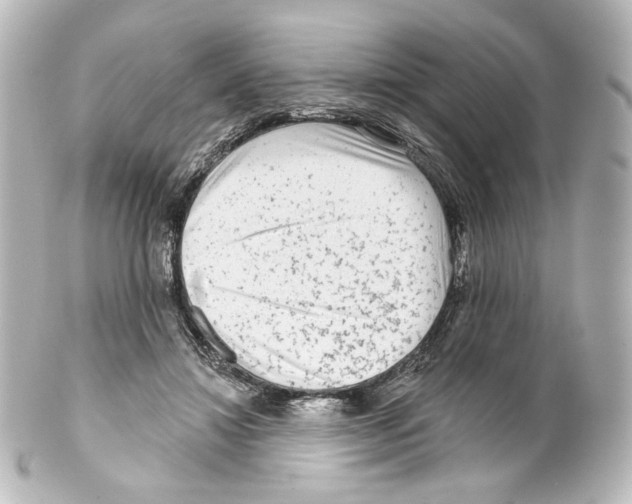 X0000100200452200806271645