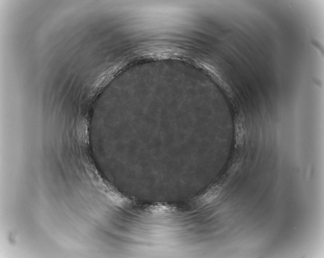 X0000100200453200806271645