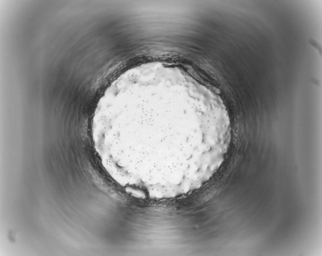 X0000100200454200806271645